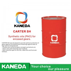 KANEDA CARTER SHケースに入れられたギア用の合成オイル（PAO）。